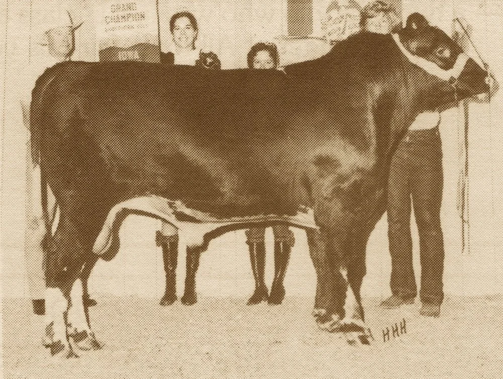 Justamere+Todd+MSJ+9: